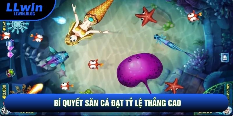Bí quyết săn cá đạt tỷ lệ thắng cao Bí quyết săn cá đạt tỷ lệ thắng cao