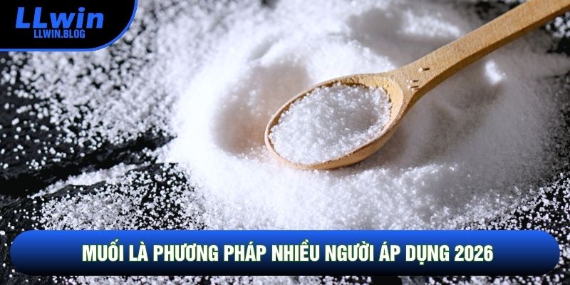 Muối là phương pháp nhiều người áp dụng 2026 Muối là phương pháp nhiều người áp dụng 2026