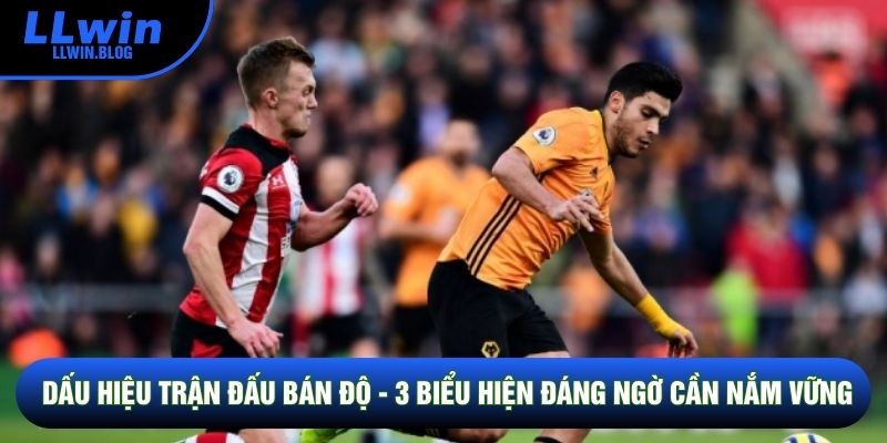 Dấu Hiệu Trận Đấu Bán Độ - 3 Biểu Hiện Đáng Ngờ Cần Nắm Vững