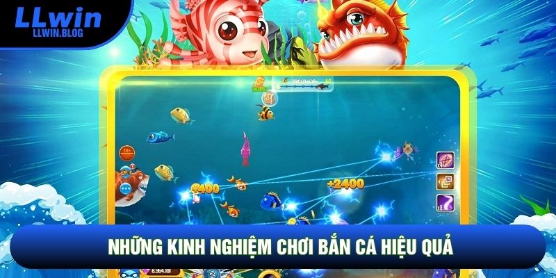 Những kinh nghiệm chơi bắn cá hiệu quả Những kinh nghiệm chơi bắn cá hiệu quả