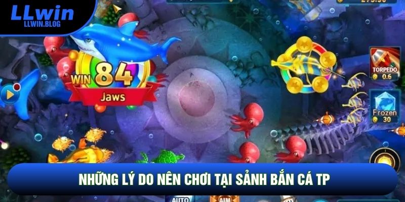 Những lý do nên chơi tại sảnh bắn cá TP Những lý do nên chơi tại sảnh bắn cá TP